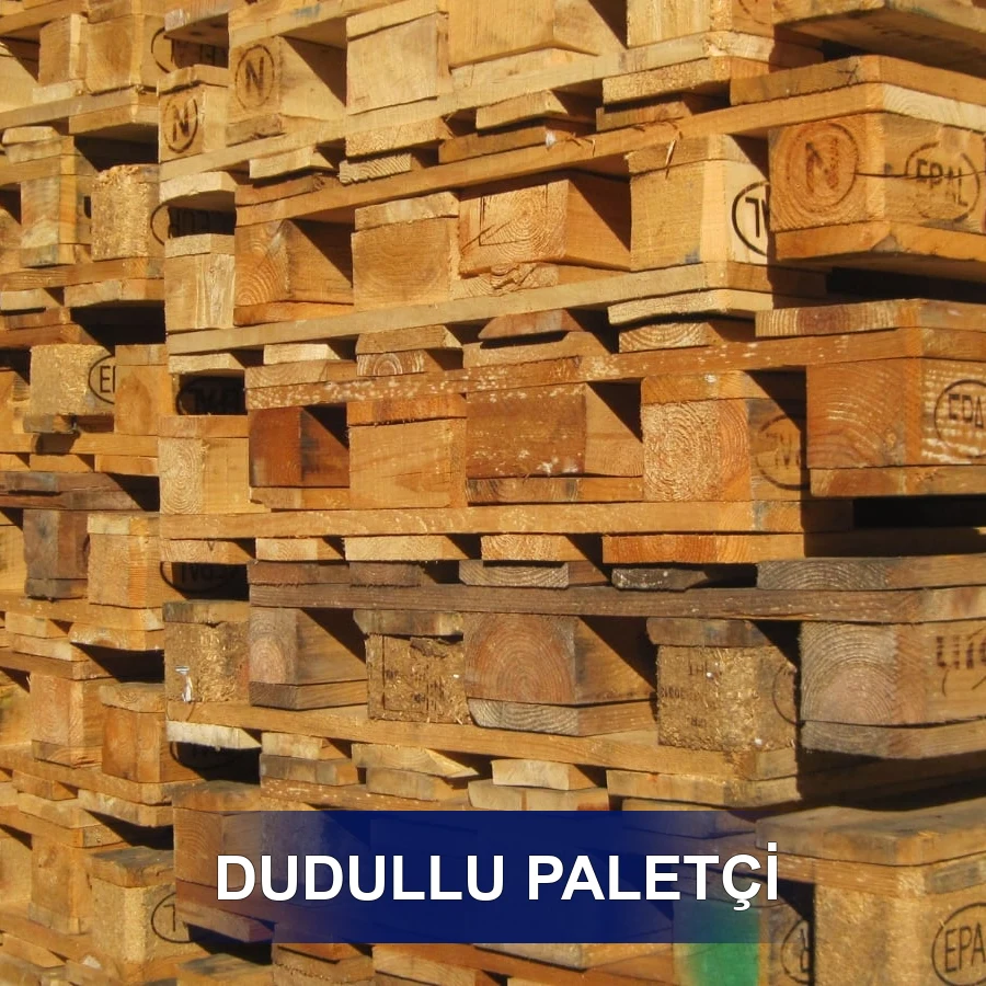 Dudullu Paletçi