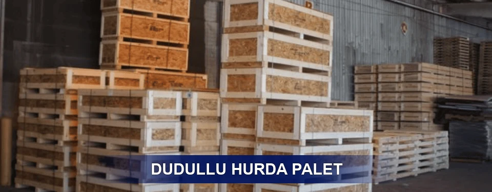 Dudullu Sınıflandırma