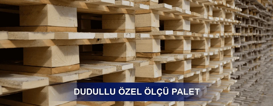 Dudullu Yük Kapasitesi